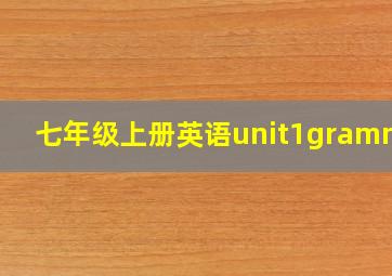 七年级上册英语unit1grammar