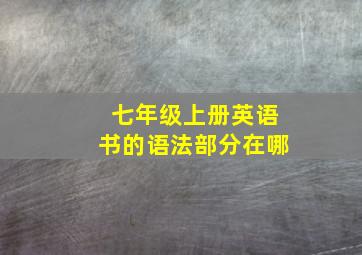 七年级上册英语书的语法部分在哪