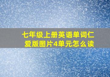 七年级上册英语单词仁爱版图片4单元怎么读