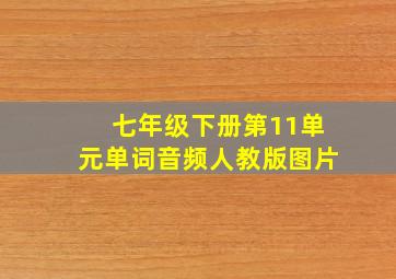 七年级下册第11单元单词音频人教版图片