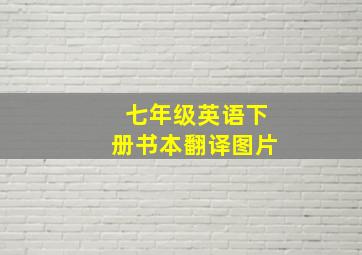 七年级英语下册书本翻译图片