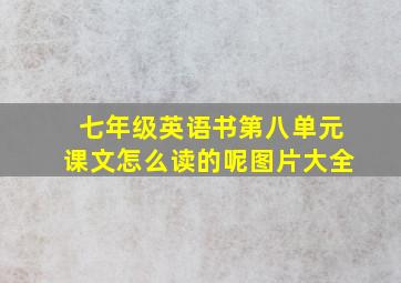 七年级英语书第八单元课文怎么读的呢图片大全