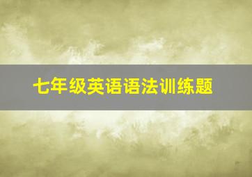 七年级英语语法训练题