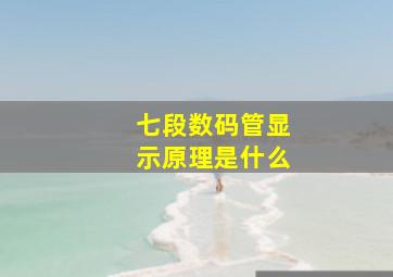 七段数码管显示原理是什么