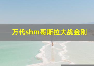 万代shm哥斯拉大战金刚