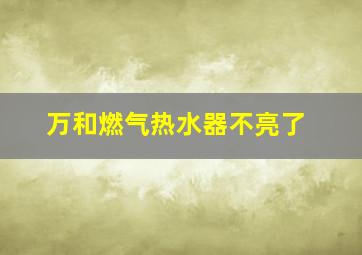 万和燃气热水器不亮了