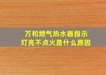 万和燃气热水器指示灯亮不点火是什么原因