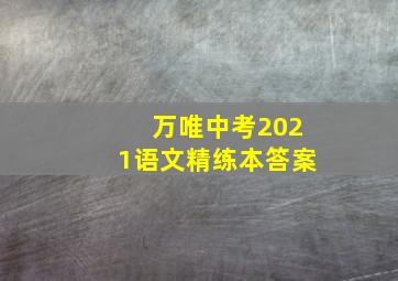 万唯中考2021语文精练本答案