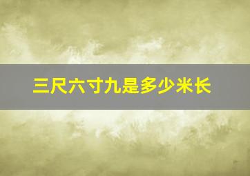 三尺六寸九是多少米长