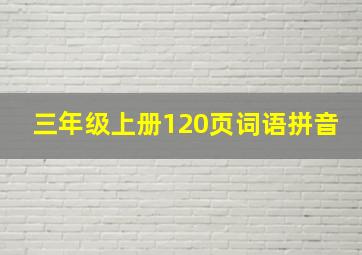 三年级上册120页词语拼音