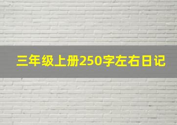 三年级上册250字左右日记