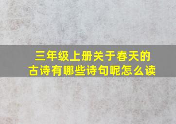 三年级上册关于春天的古诗有哪些诗句呢怎么读