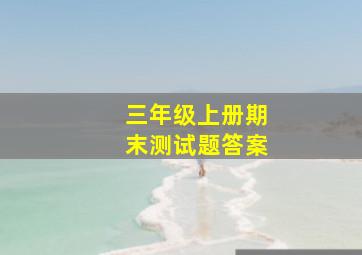 三年级上册期末测试题答案