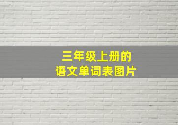 三年级上册的语文单词表图片