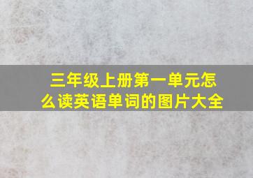 三年级上册第一单元怎么读英语单词的图片大全