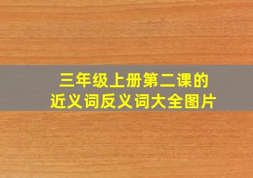 三年级上册第二课的近义词反义词大全图片