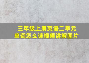 三年级上册英语二单元单词怎么读视频讲解图片