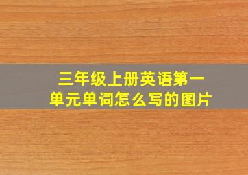 三年级上册英语第一单元单词怎么写的图片