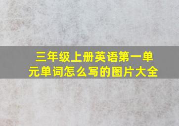 三年级上册英语第一单元单词怎么写的图片大全