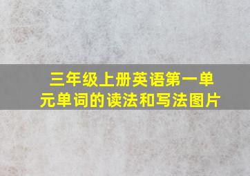 三年级上册英语第一单元单词的读法和写法图片