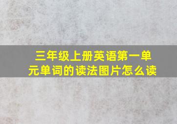 三年级上册英语第一单元单词的读法图片怎么读