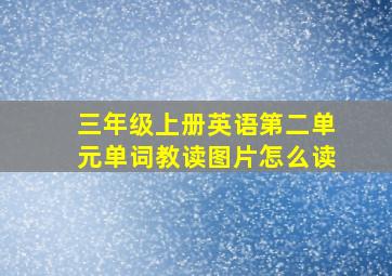 三年级上册英语第二单元单词教读图片怎么读