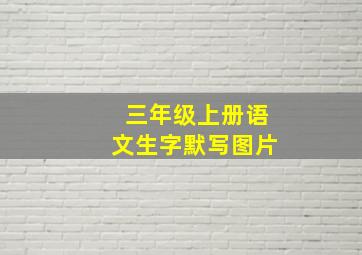 三年级上册语文生字默写图片