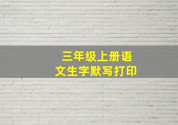 三年级上册语文生字默写打印