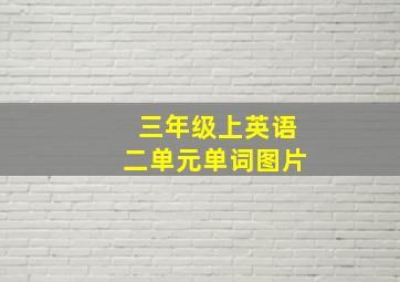 三年级上英语二单元单词图片