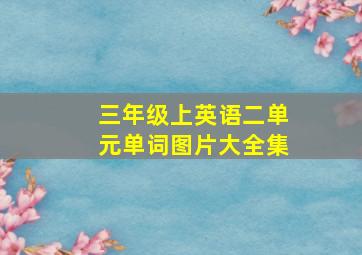 三年级上英语二单元单词图片大全集