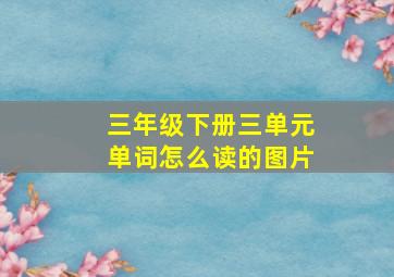 三年级下册三单元单词怎么读的图片