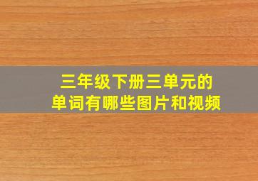 三年级下册三单元的单词有哪些图片和视频