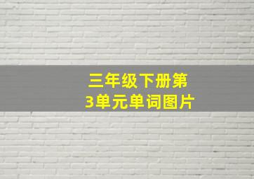 三年级下册第3单元单词图片