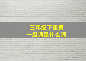 三年级下册第一组词是什么词