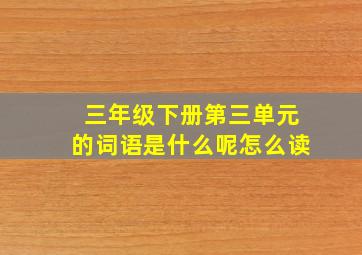 三年级下册第三单元的词语是什么呢怎么读