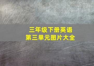 三年级下册英语第三单元图片大全