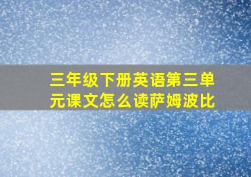 三年级下册英语第三单元课文怎么读萨姆波比