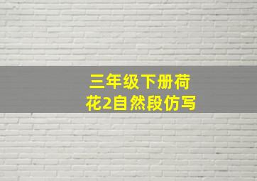 三年级下册荷花2自然段仿写