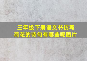 三年级下册语文书仿写荷花的诗句有哪些呢图片