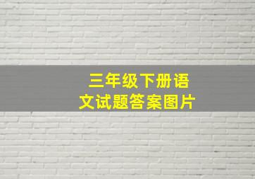 三年级下册语文试题答案图片