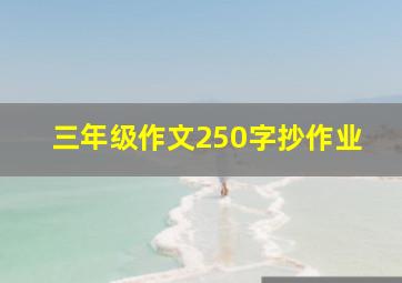 三年级作文250字抄作业