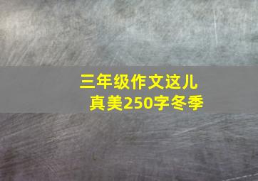 三年级作文这儿真美250字冬季