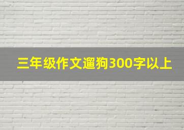 三年级作文遛狗300字以上