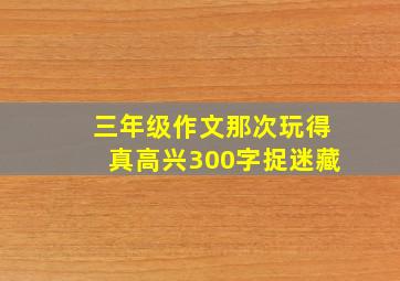 三年级作文那次玩得真高兴300字捉迷藏