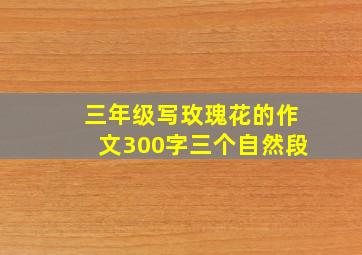 三年级写玫瑰花的作文300字三个自然段