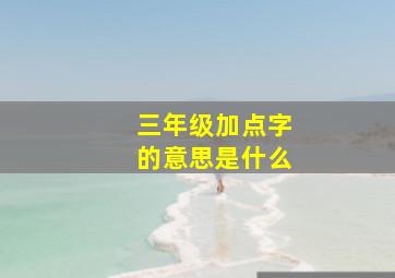 三年级加点字的意思是什么