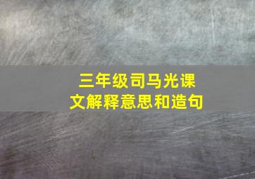 三年级司马光课文解释意思和造句