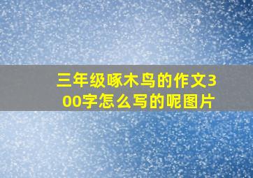 三年级啄木鸟的作文300字怎么写的呢图片