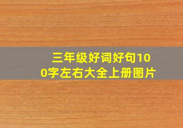 三年级好词好句100字左右大全上册图片