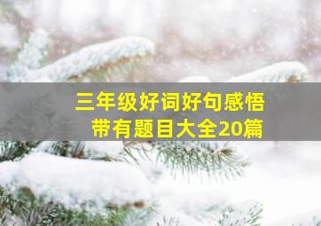 三年级好词好句感悟带有题目大全20篇